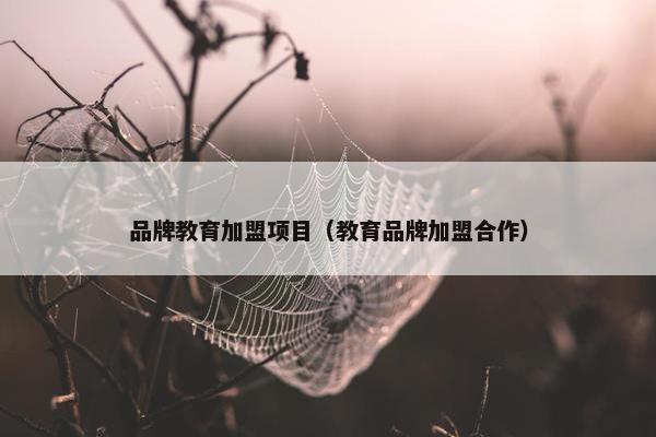 品牌教育加盟项目（教育品牌加盟合作）