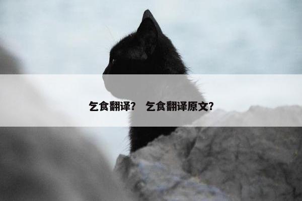 乞食翻译？ 乞食翻译原文？
