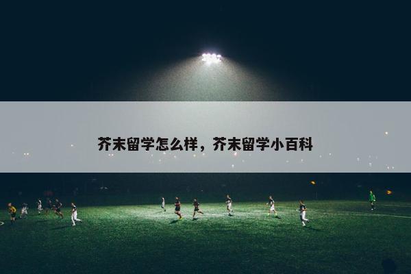 芥末留学怎么样，芥末留学小百科