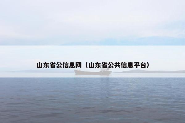 山东省公信息网（山东省公共信息平台）