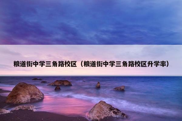 粮道街中学三角路校区（粮道街中学三角路校区升学率）