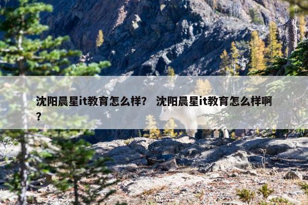 沈阳晨星it教育怎么样? 沈阳晨星it教育怎么样啊? 沈阳晨星it教育怎么样? 沈阳晨星it教育怎么样啊?