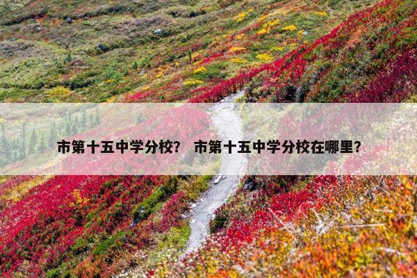 市第十五中学分校？ 市第十五中学分校在哪里？