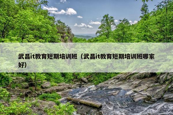 武昌it教育短期培训班（武昌it教育短期培训班哪家好）