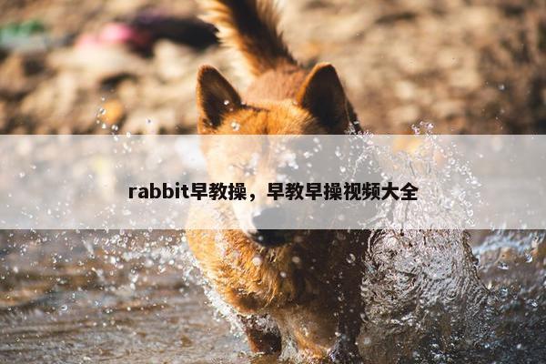 rabbit早教操，早教早操视频大全