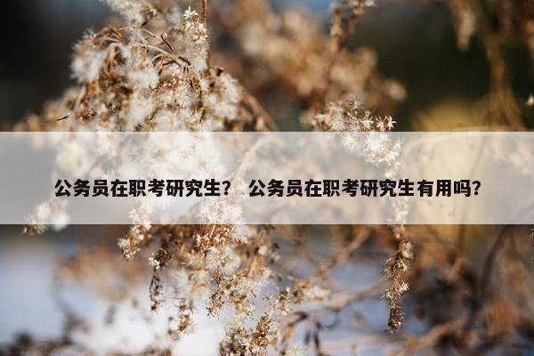 公务员在职考研究生？ 公务员在职考研究生有用吗？