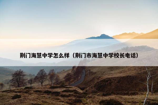 荆门海慧中学怎么样（荆门市海慧中学校长电话）