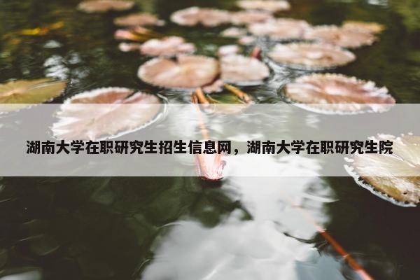 湖南大学在职研究生招生信息网，湖南大学在职研究生院