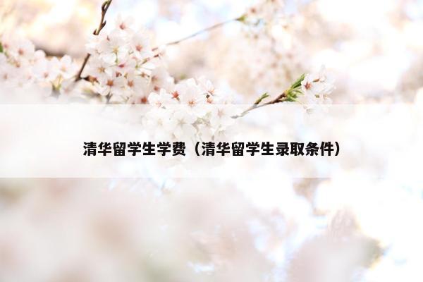 清华留学生学费（清华留学生录取条件）