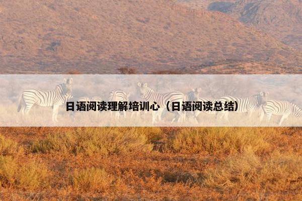 日语阅读理解培训心（日语阅读总结）