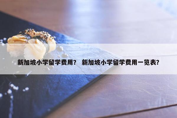 新加坡小学留学费用？ 新加坡小学留学费用一览表？