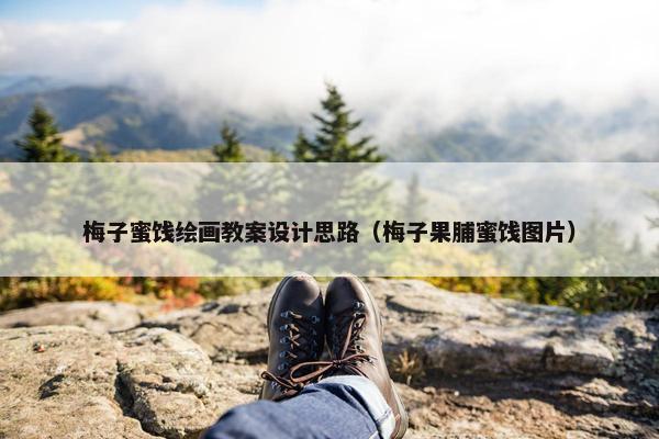 梅子蜜饯绘画教案设计思路（梅子果脯蜜饯图片）