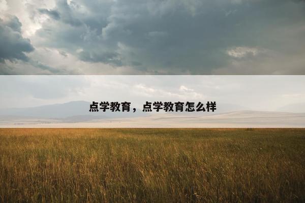 点学教育，点学教育怎么样
