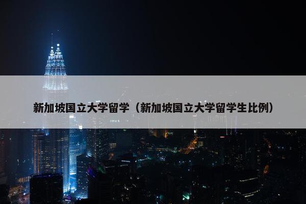 新加坡国立大学留学（新加坡国立大学留学生比例）