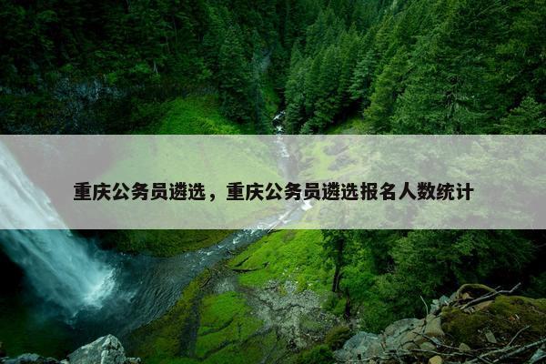 重庆公务员遴选，重庆公务员遴选报名人数统计