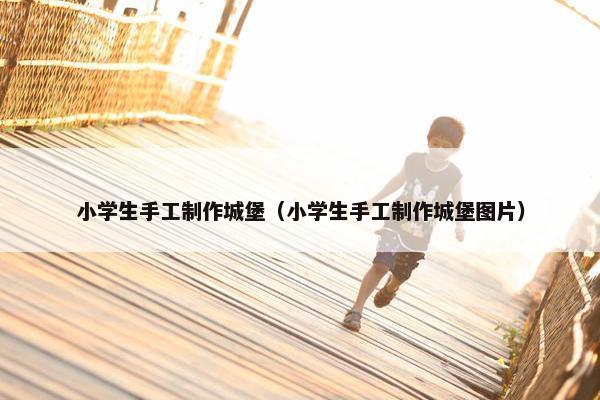 小学生手工制作城堡（小学生手工制作城堡图片）