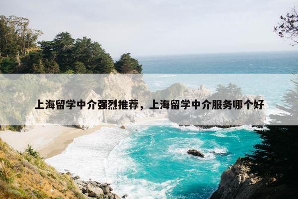 上海留学中介强烈推荐，上海留学中介服务哪个好