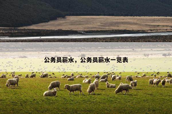 公务员薪水，公务员薪水一览表
