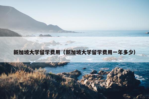 新加坡大学留学费用（新加坡大学留学费用一年多少）