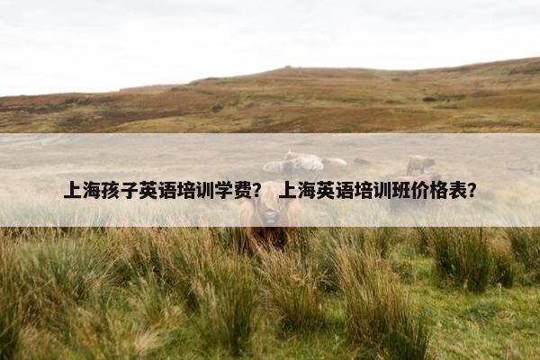 上海孩子英语培训学费？ 上海英语培训班价格表？