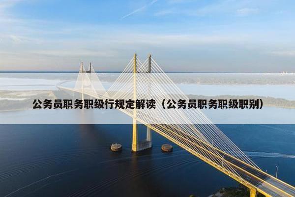 公务员职务职级行规定解读（公务员职务职级职别）