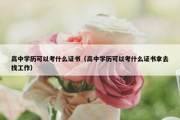 高中学历可以考什么证书（高中学历可以考什么证书拿去找工作）