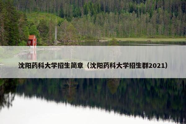 沈阳药科大学招生简章（沈阳药科大学招生群2021）