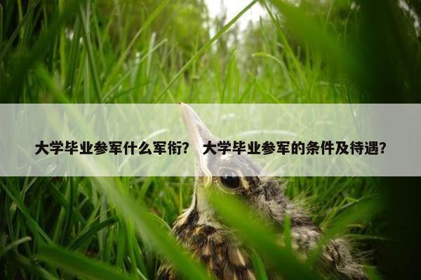 大学毕业参军什么军衔？ 大学毕业参军的条件及待遇？