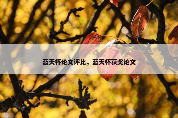 蓝天杯论文评比，蓝天杯获奖论文