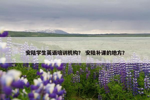 安陆学生英语培训机构？ 安陆补课的地方？