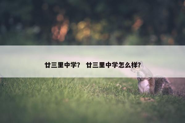 廿三里中学？ 廿三里中学怎么样？