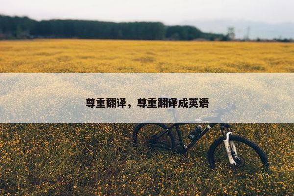 尊重翻译，尊重翻译成英语