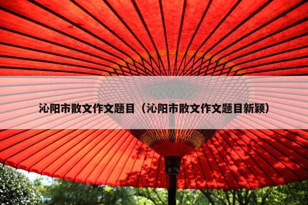 沁阳市散文作文题目（沁阳市散文作文题目新颖）