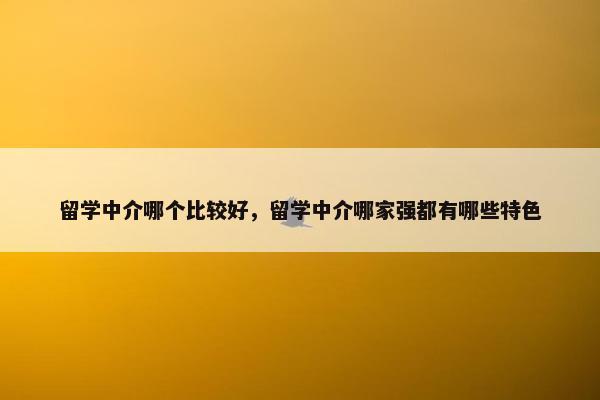 留学中介哪个比较好，留学中介哪家强都有哪些特色