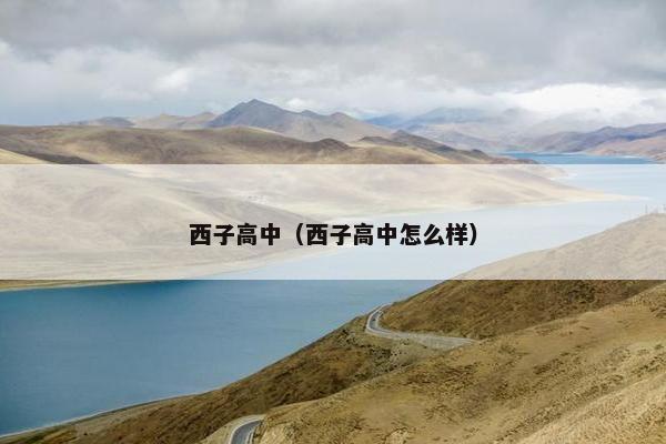 西子高中（西子高中怎么样）