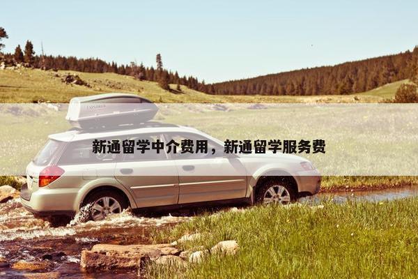 新通留学中介费用，新通留学服务费