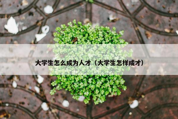 大学生怎么成为人才（大学生怎样成才）