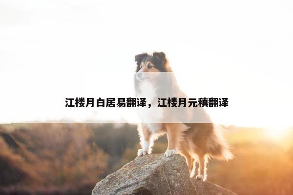 江楼月白居易翻译，江楼月元稹翻译