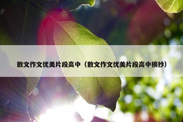 散文作文优美片段高中（散文作文优美片段高中摘抄）