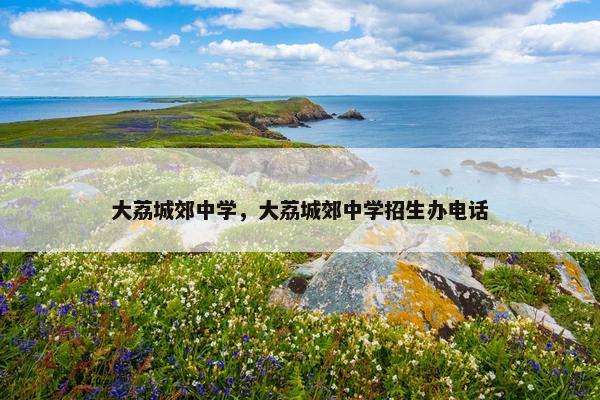 大荔城郊中学，大荔城郊中学招生办电话