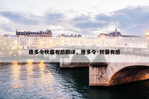 唐多令秋暮有感翻译，唐多令·秋暮有感