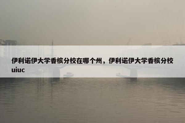 伊利诺伊大学香槟分校在哪个州，伊利诺伊大学香槟分校uiuc