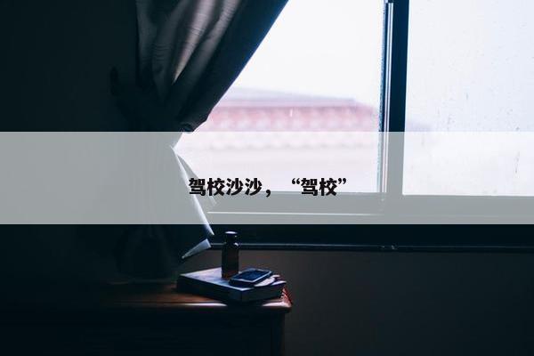 驾校沙沙，“驾校”