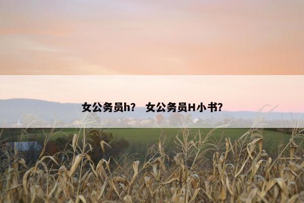 女公务员h？ 女公务员H小书？