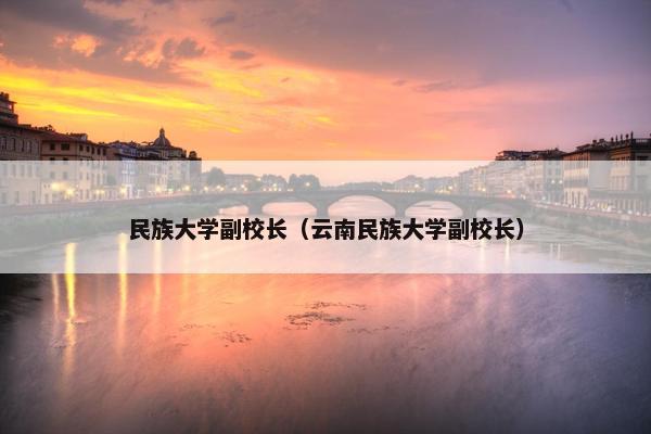 民族大学副校长（云南民族大学副校长）