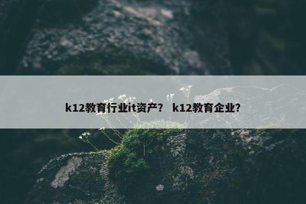k12教育行业it资产？ k12教育企业？