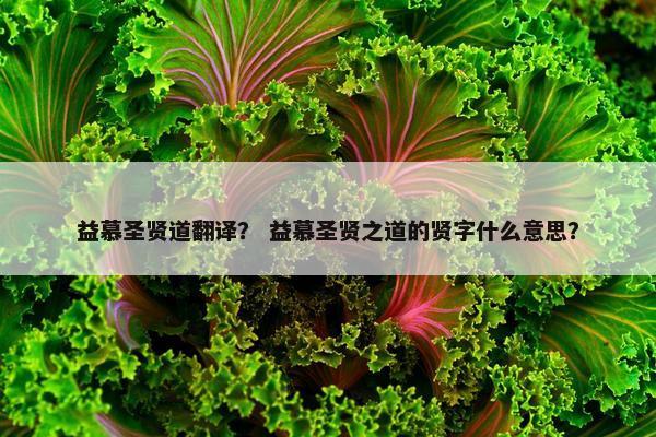 益慕圣贤道翻译？ 益慕圣贤之道的贤字什么意思？